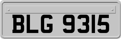 BLG9315