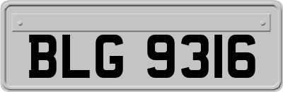 BLG9316