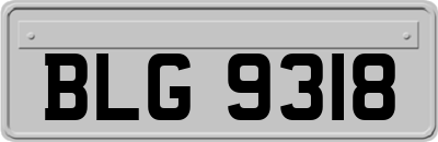 BLG9318
