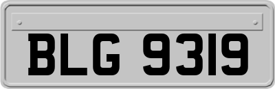 BLG9319