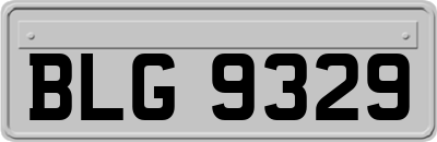 BLG9329