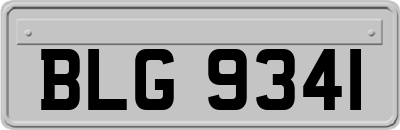BLG9341