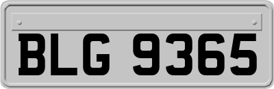 BLG9365