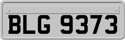 BLG9373