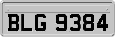 BLG9384