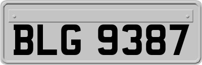 BLG9387