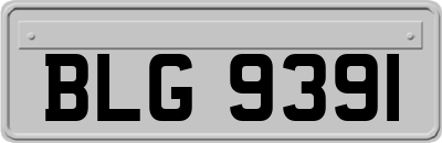 BLG9391