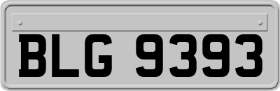 BLG9393