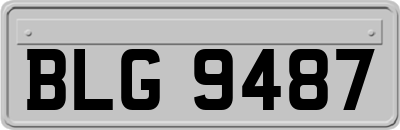 BLG9487