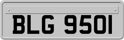 BLG9501