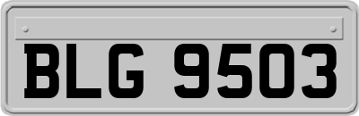 BLG9503