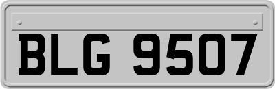 BLG9507