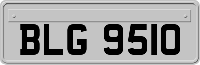 BLG9510