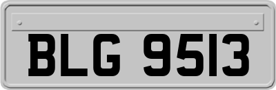 BLG9513