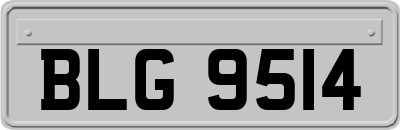 BLG9514