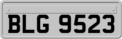 BLG9523