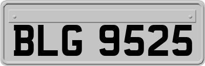 BLG9525
