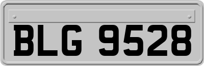 BLG9528