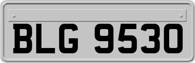 BLG9530