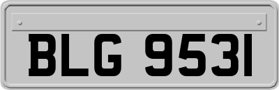 BLG9531