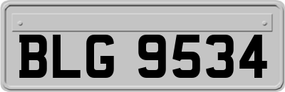BLG9534