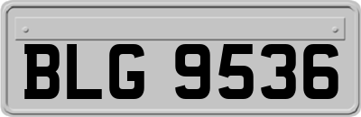 BLG9536