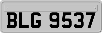 BLG9537