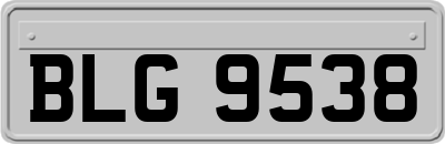 BLG9538