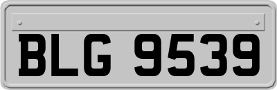 BLG9539