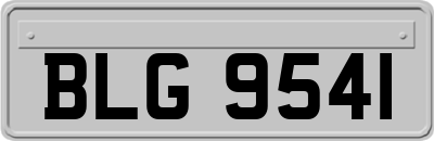 BLG9541