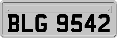 BLG9542