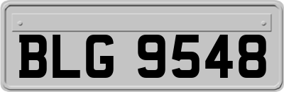 BLG9548