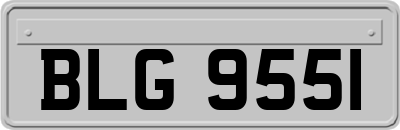 BLG9551