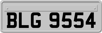 BLG9554