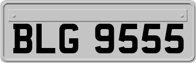 BLG9555