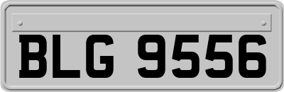 BLG9556