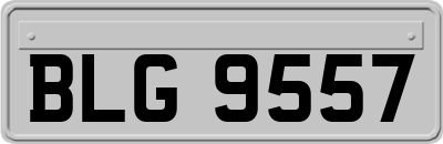 BLG9557