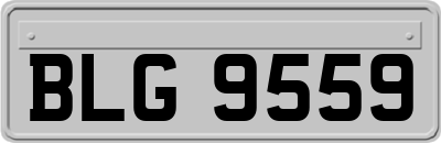 BLG9559