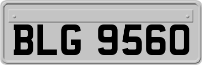 BLG9560