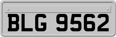 BLG9562
