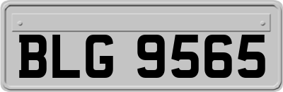 BLG9565