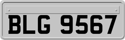 BLG9567