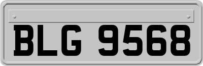 BLG9568