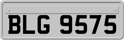 BLG9575