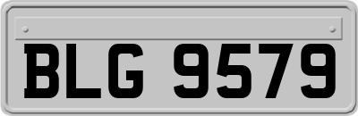 BLG9579