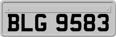 BLG9583