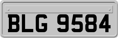 BLG9584