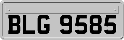 BLG9585