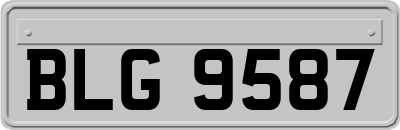 BLG9587