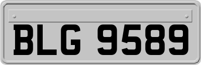 BLG9589
